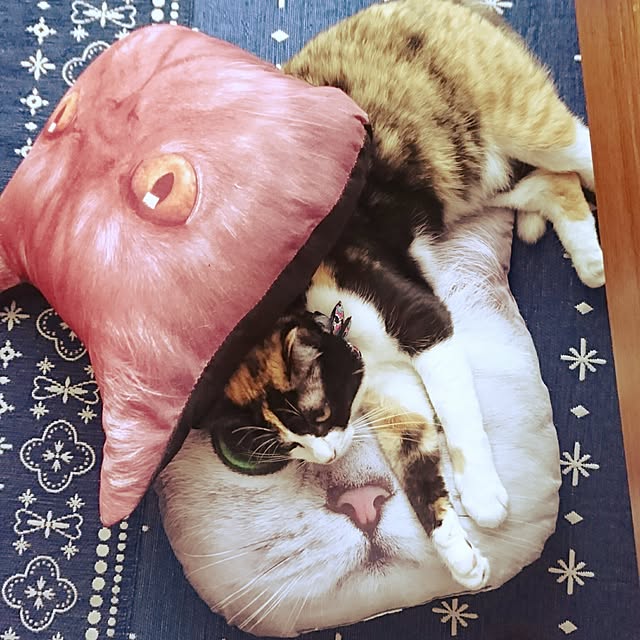 honey_beemtさんの実例写真