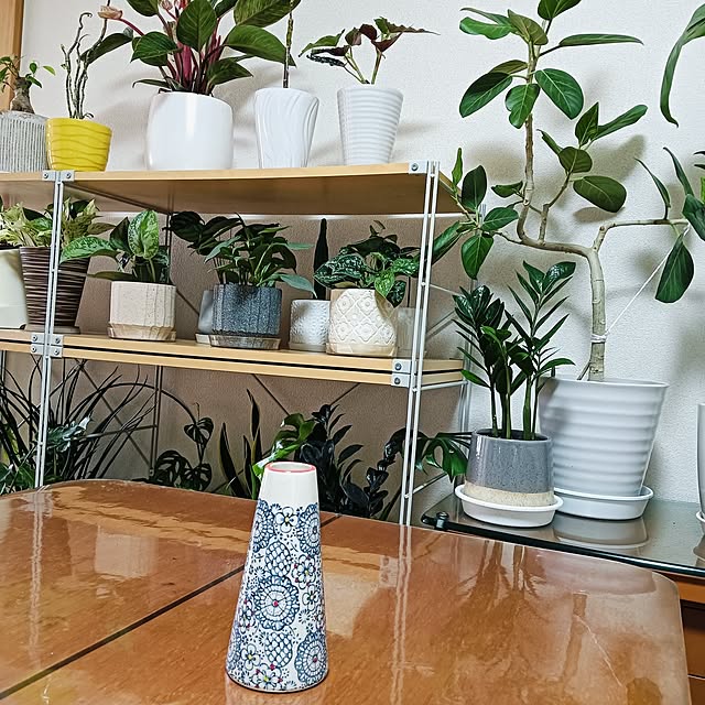 hanachanさんの部屋