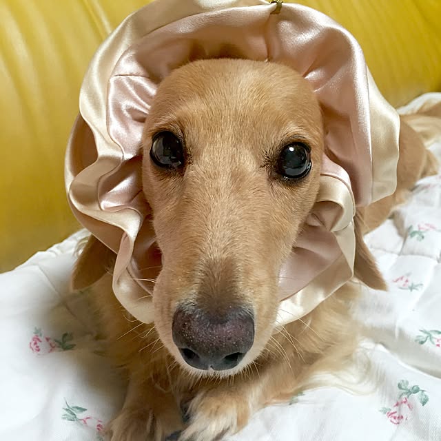 bibianさんの実例写真