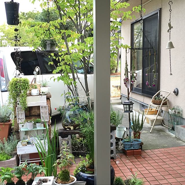 実例写真