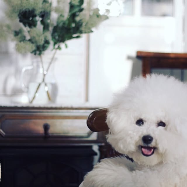 happy_bridgeさんの実例写真