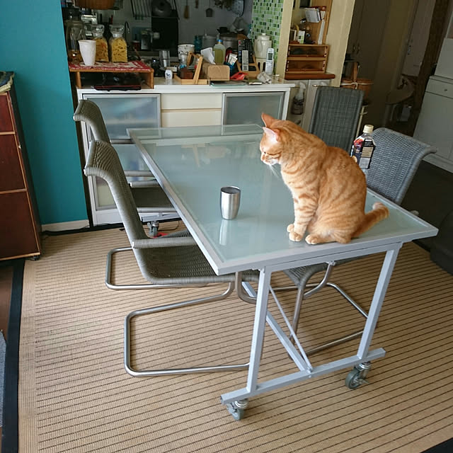 okyosan101さんの実例写真