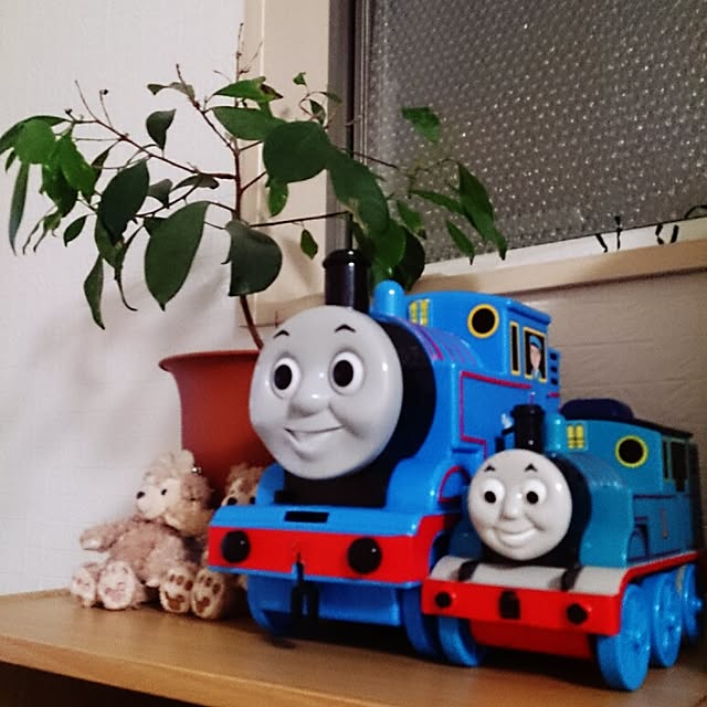 Mikaさんの実例写真