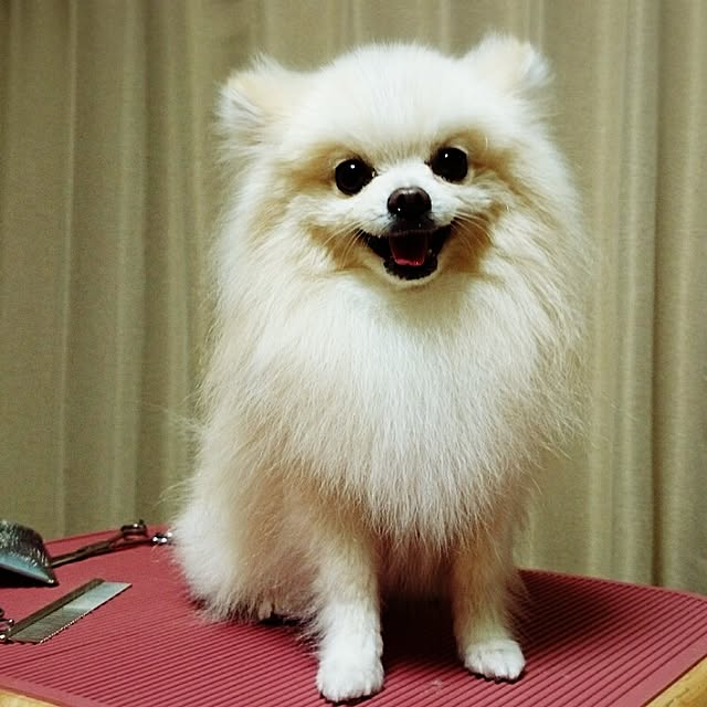yukaさんの実例写真