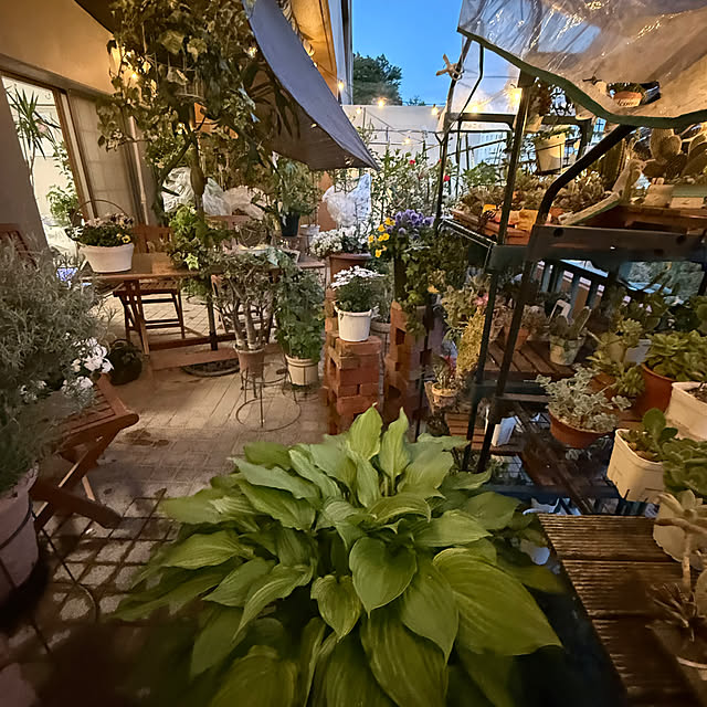 Aqettyさんの部屋