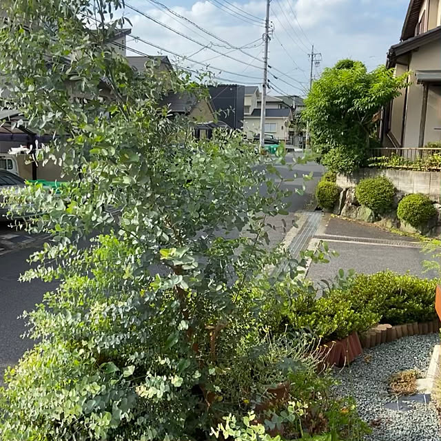 murasaki808さんの実例写真
