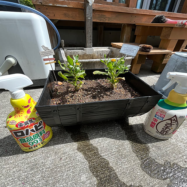 mogumoguさんの部屋