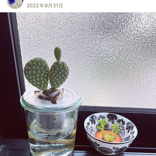 reika111さんの部屋