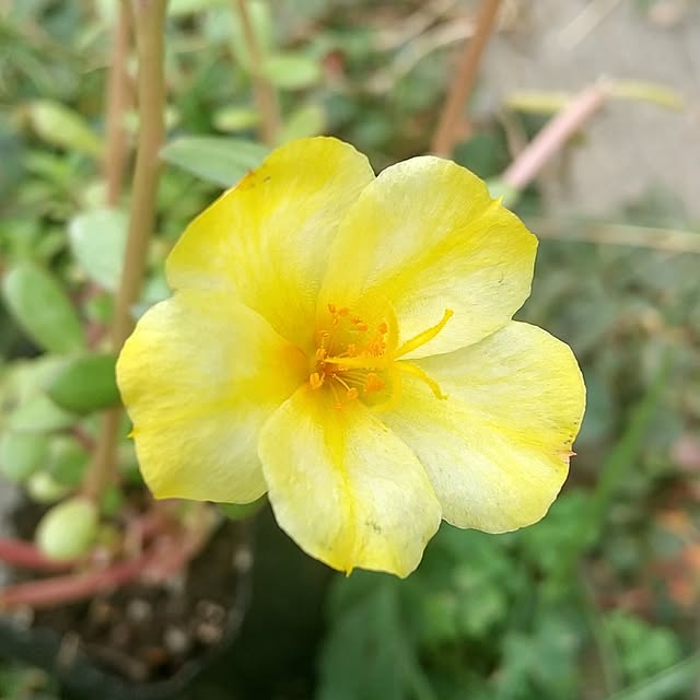 Rさんの実例写真