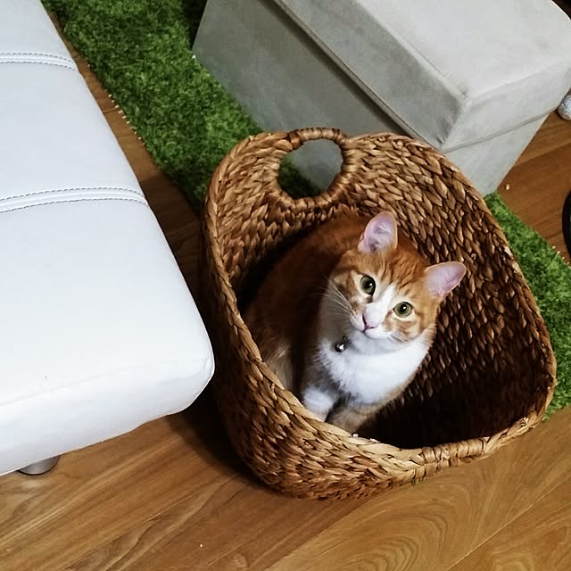 jjeennnniiffeerrさんの実例写真