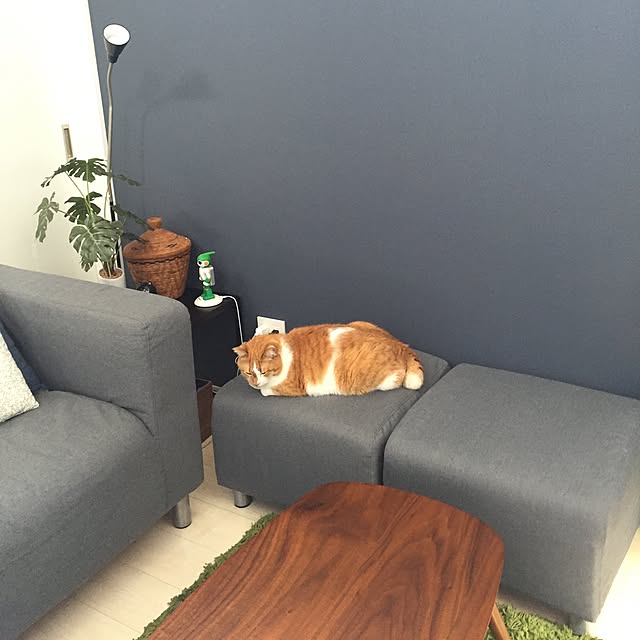 suzumeさんの実例写真