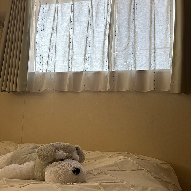 Fumiさんの実例写真