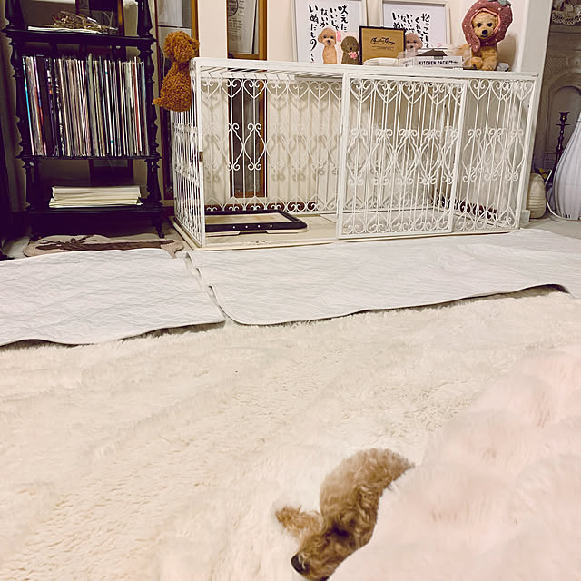 Momoさんの実例写真