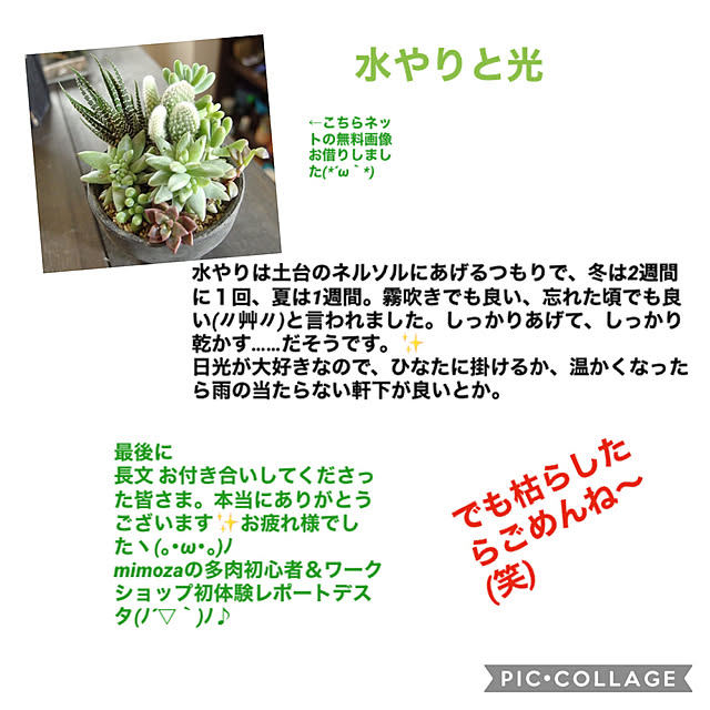 mimoza.さんの実例写真