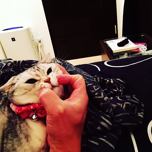 fantasticさんの実例写真