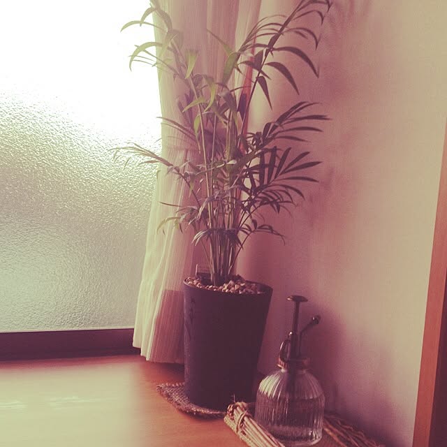 MIKUさんの実例写真