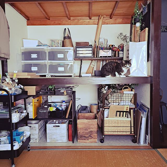 shinoさんの実例写真