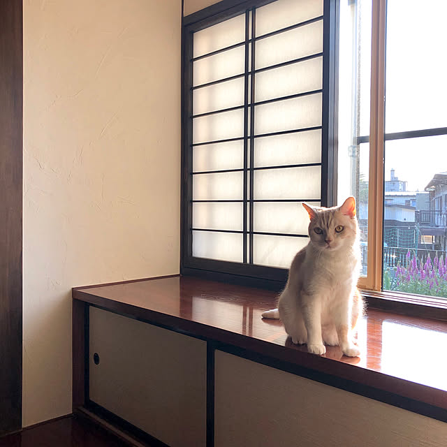 aiaiさんの実例写真