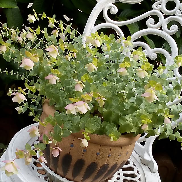 mariagardenさんの実例写真