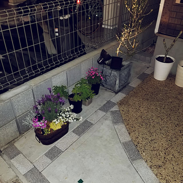 実例写真
