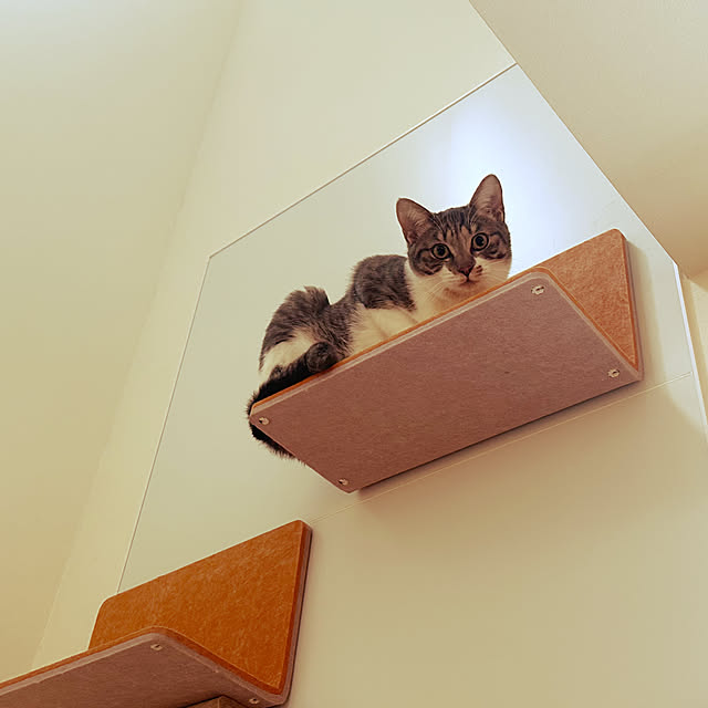 lemonadeさんの部屋