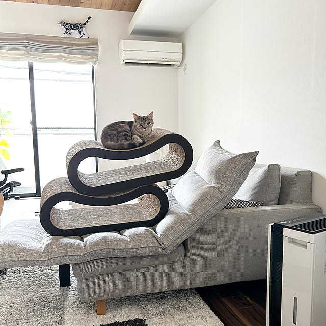 リビング/ねこ/キャットタワー/キャットウォーク/狭小住宅...などのインテリア実例 - 2023-08-12 13:15:23