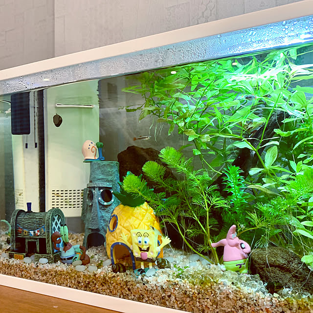 Minteaさんの部屋