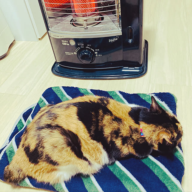 noriさんの実例写真