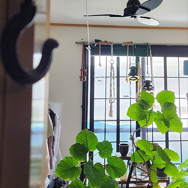 CYNOSさんの実例写真