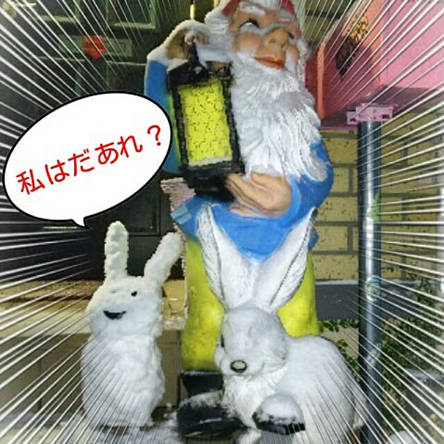 Mikaさんの実例写真