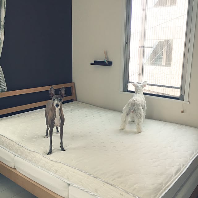 suzyさんの実例写真