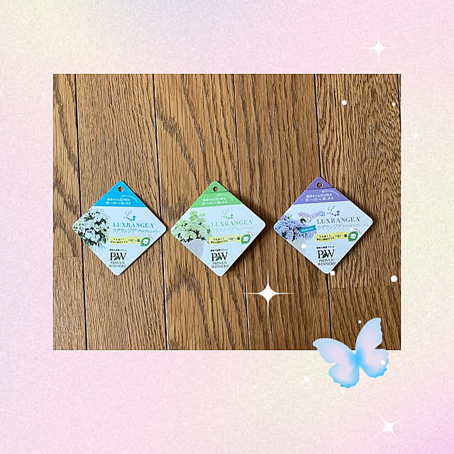maron915さんの部屋