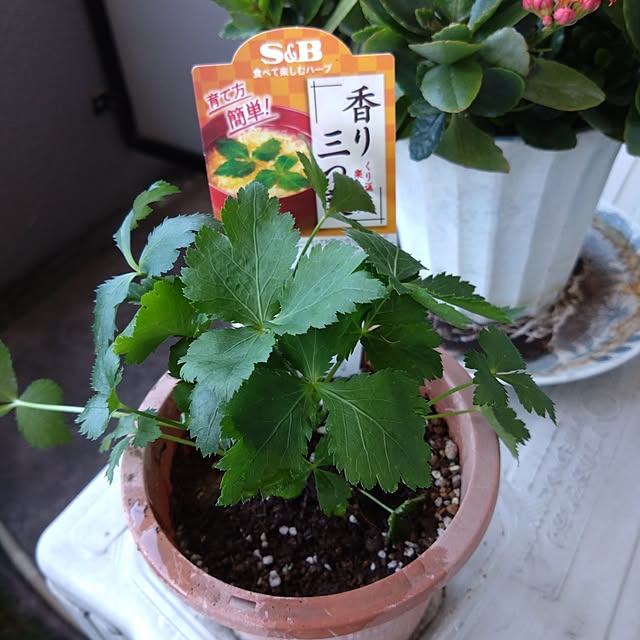 kakkaさんの部屋