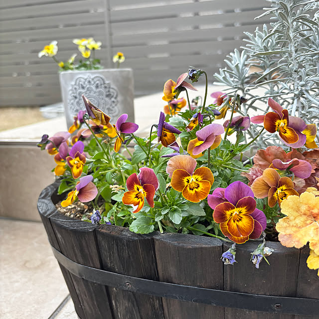 miyu39さんの部屋