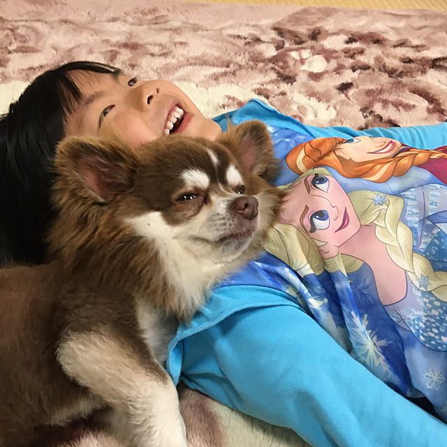 chIoeさんの実例写真