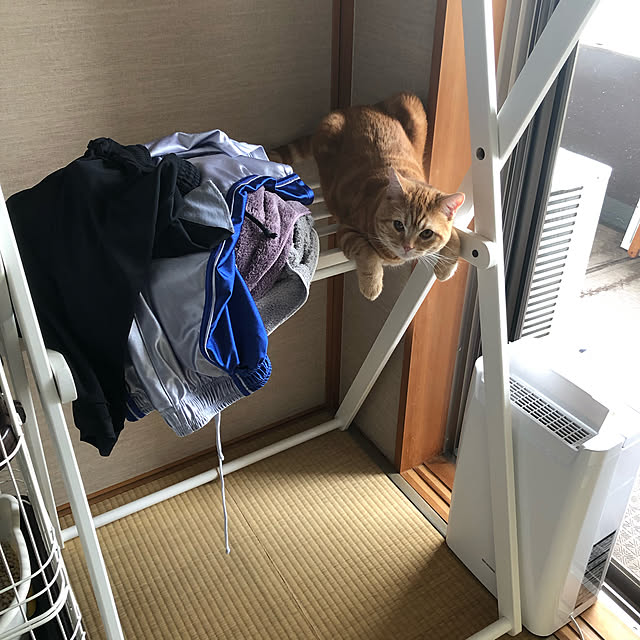 Atelier.mさんの実例写真