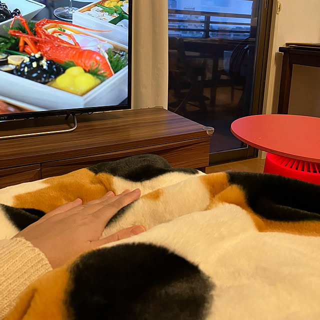 koshiregutyoさんの実例写真