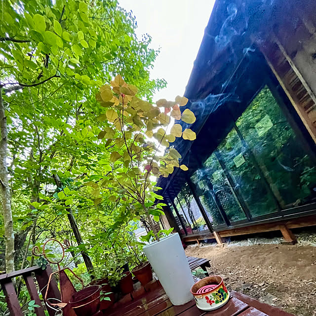 cota2さんの部屋