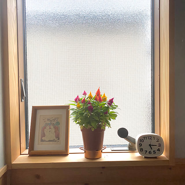 senbei.sakuramochiさんの実例写真
