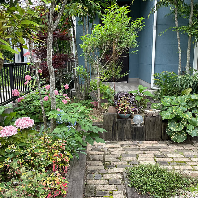 nobikoさんの部屋