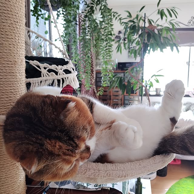 hiro3さんの部屋