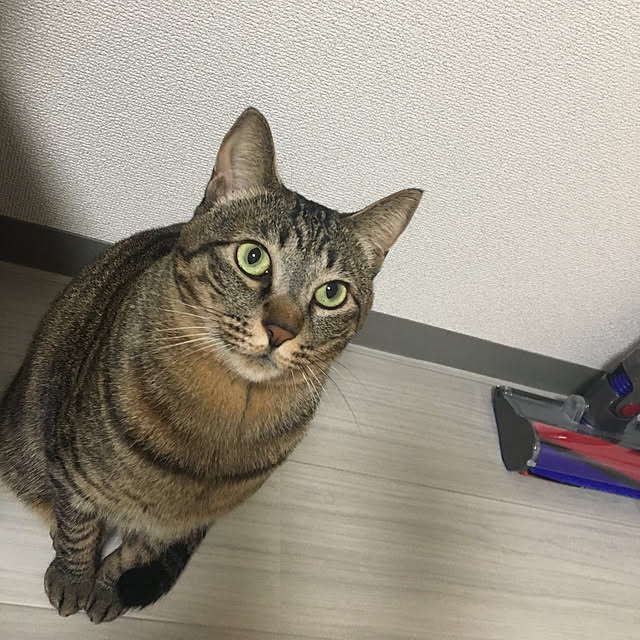 ichicoさんの実例写真