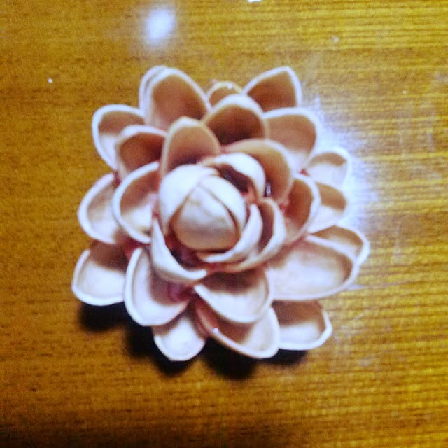 Shokoさんの実例写真