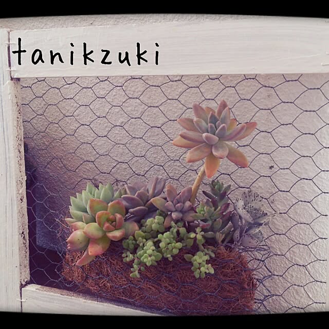 pinkさんの実例写真