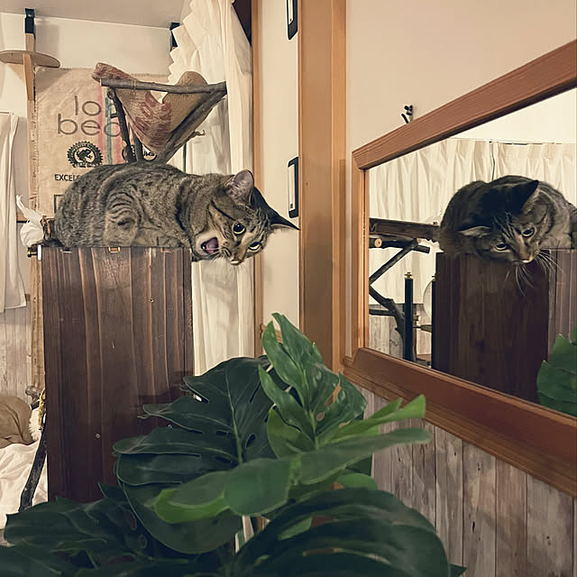 Mさんの実例写真