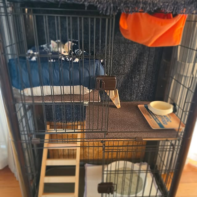 c.g.nikoさんの実例写真