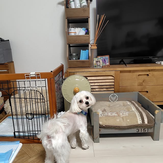 tomomiさんの部屋