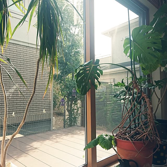 urchinさんの部屋