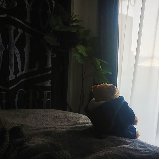 Ayatyさんの実例写真