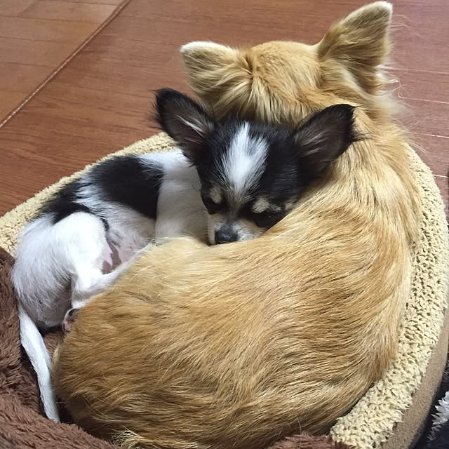 tomoさんの実例写真